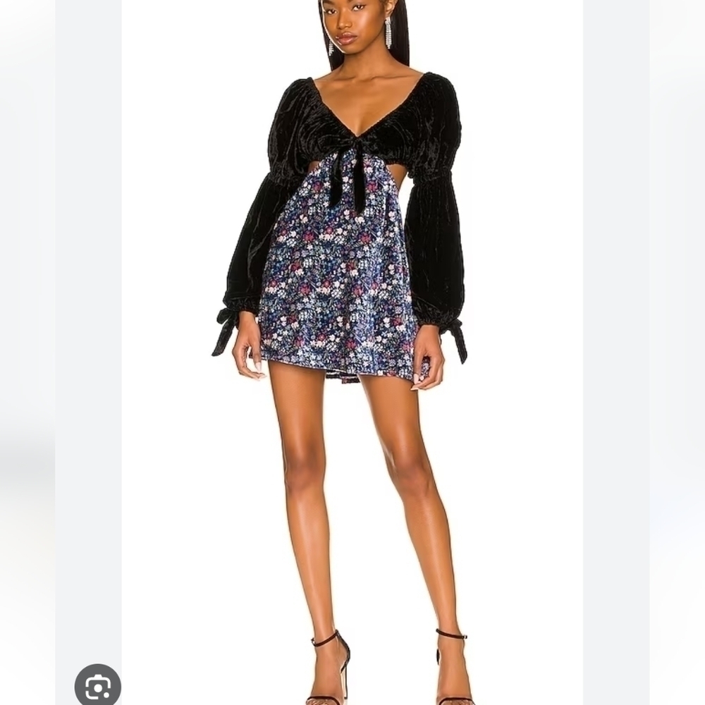 Tularosa mini dress long sleeves